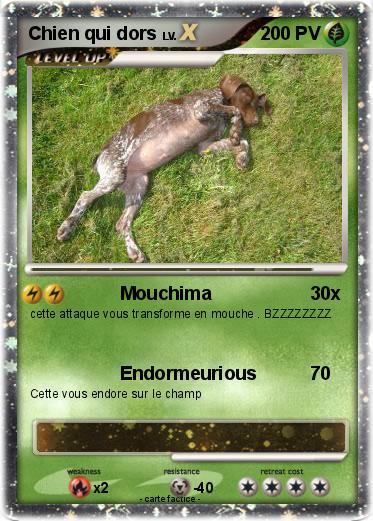 Pokemon Chien qui dors