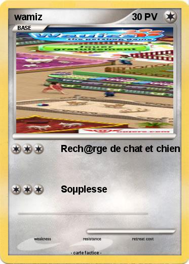 Pokemon wamiz