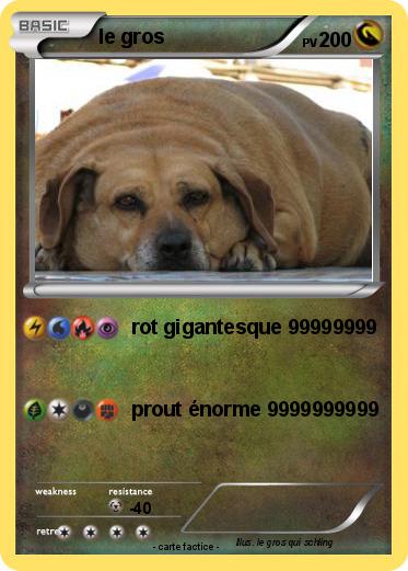 Pokemon le gros