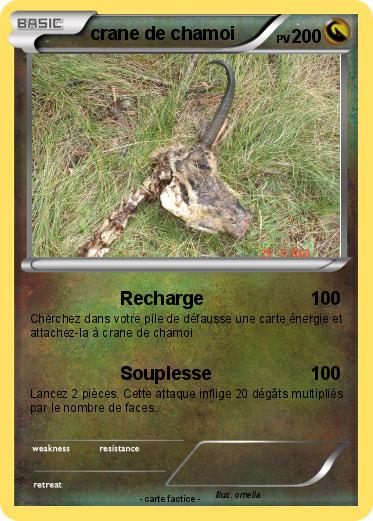 Pokemon crane de chamoi
