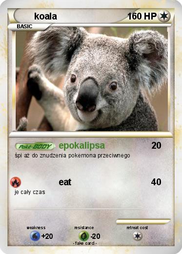 Pokemon koala