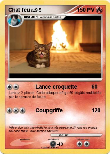 Pokemon Chat feu