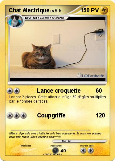 Pokemon Chat électrique