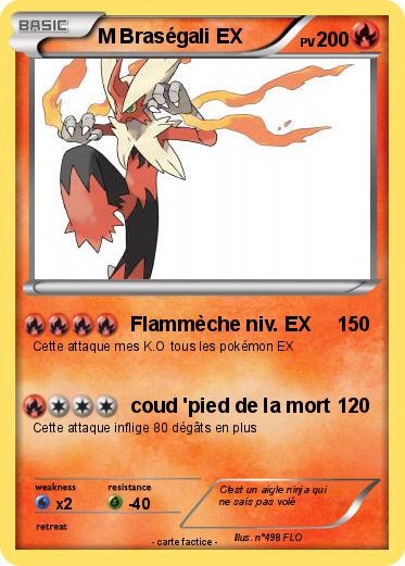Pokemon M Braségali EX