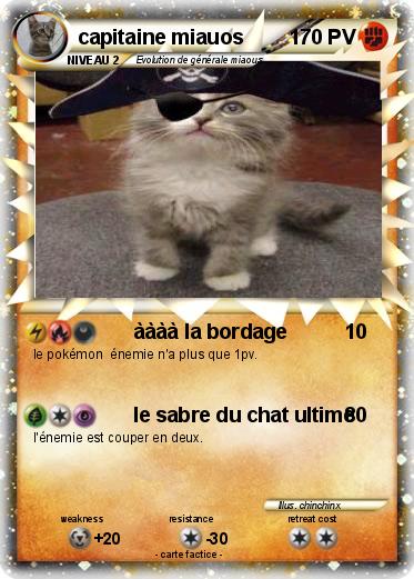 Pokemon capitaine miauos