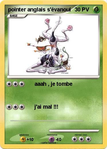 Pokemon pointer anglais s'évanoui