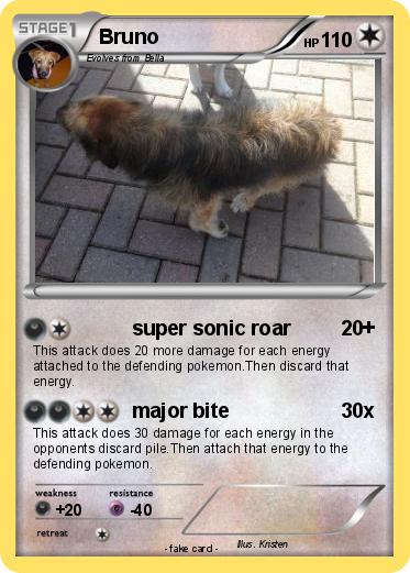 Pokemon Bruno