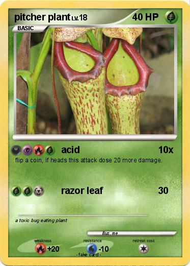 Pokemon pitcher plant