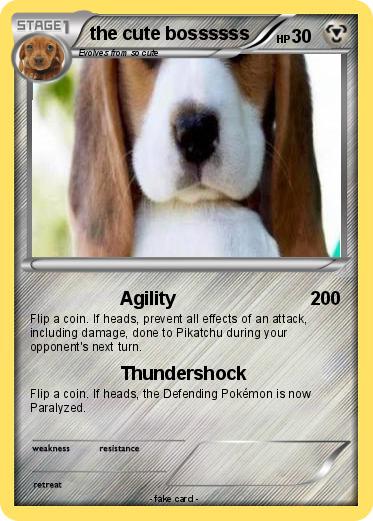 Pokemon the cute bossssss