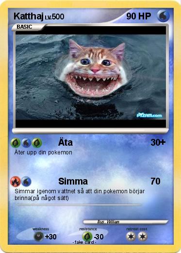 Pokemon Katthaj