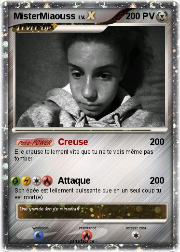 Pokemon MisterMiaouss