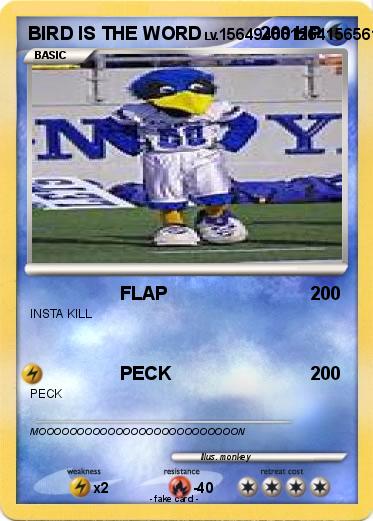Pokemon BIRD IS THE WORD