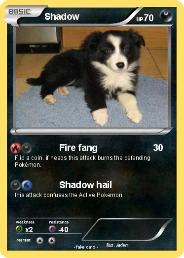 Pokemon Shadow