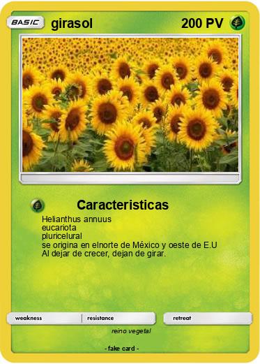 Pokemon girasol
