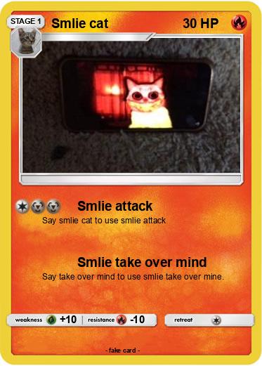 Pokemon Smlie cat