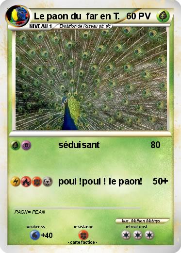Pokemon Le paon du  far en T.