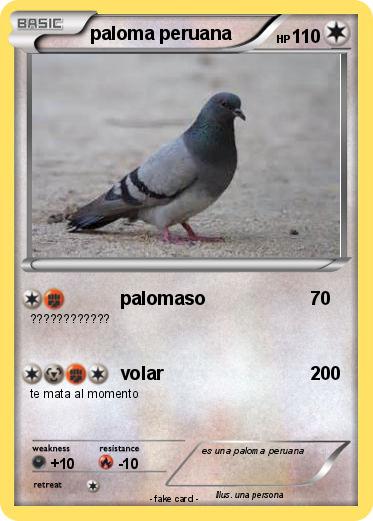 Pokemon paloma peruana