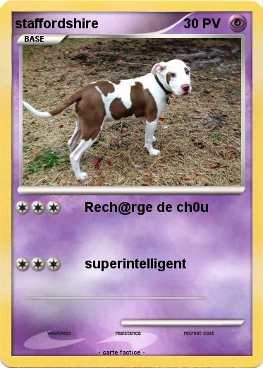 Pokemon staffordshire