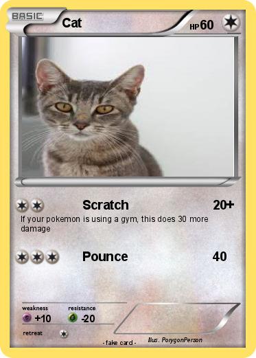 Pokemon Cat