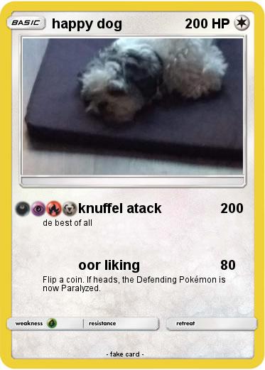 Pokemon happy dog