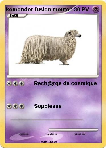 Pokemon komondor fusion mouton