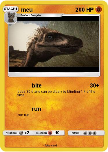 Pokemon meu