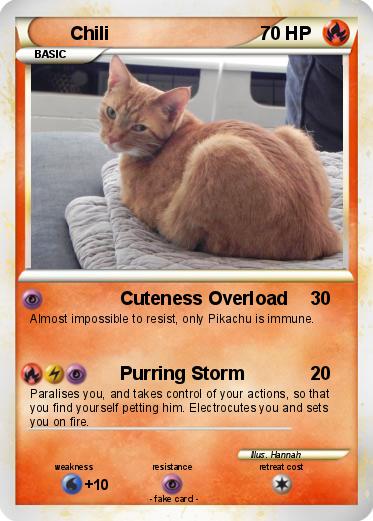 Pokemon Chili