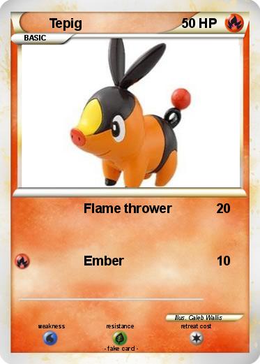 Pokemon Tepig