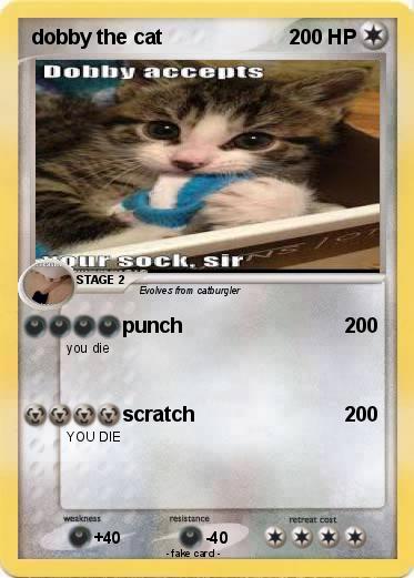 Pokemon dobby the cat