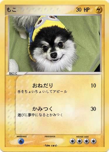 Pokemon もこ
