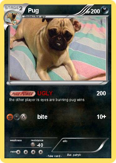 Pokemon Pug