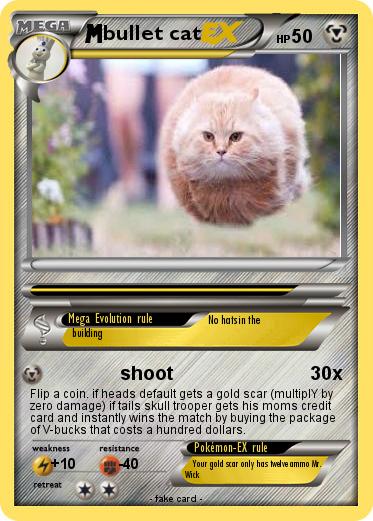 Pokemon bullet cat