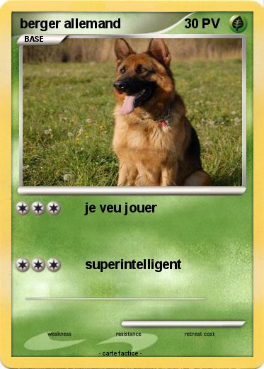 Pokemon berger allemand