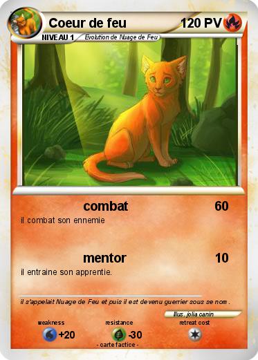 Pokemon Coeur de feu