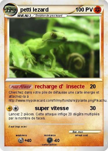 Pokemon petti lezard