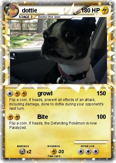 Pokemon dottie