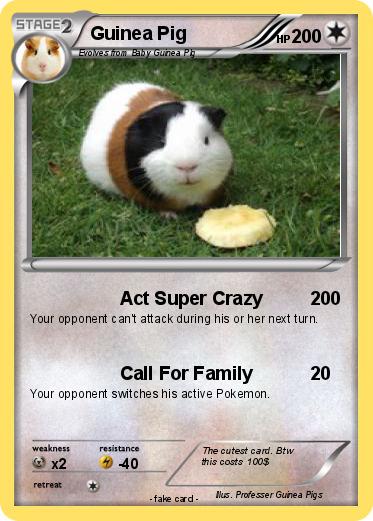 Pokemon Guinea Pig