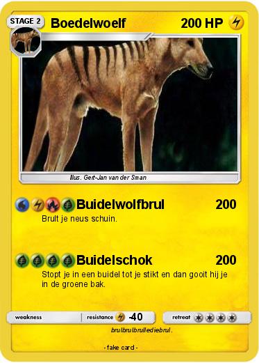 Pokemon Boedelwoelf