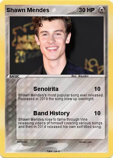Pokemon Shawn Mendes