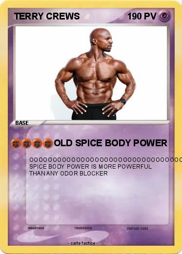 Pokemon TERRY CREWS