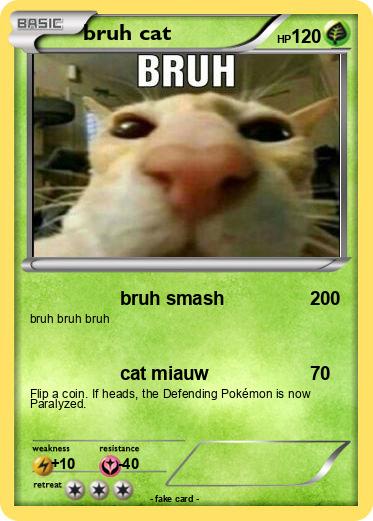 Pokemon bruh cat