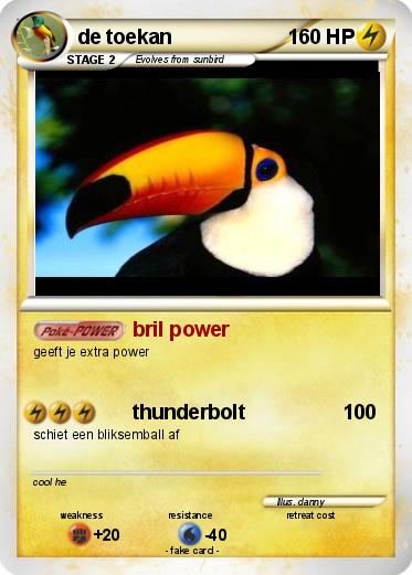 Pokemon de toekan