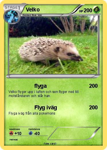 Pokemon Velko