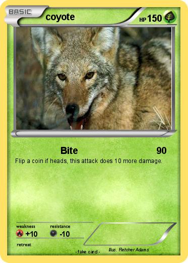 Pokemon coyote