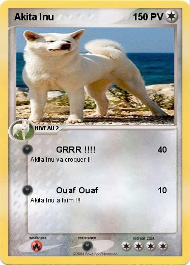 Pokemon Akita Inu