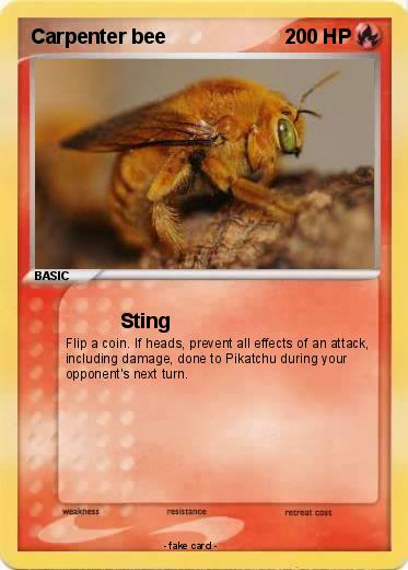 Pokemon Carpenter bee