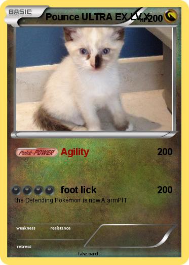Pokemon Pounce ULTRA EX LV.X