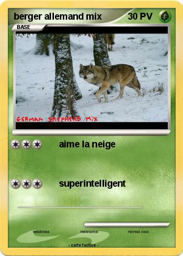 Pokemon berger allemand mix