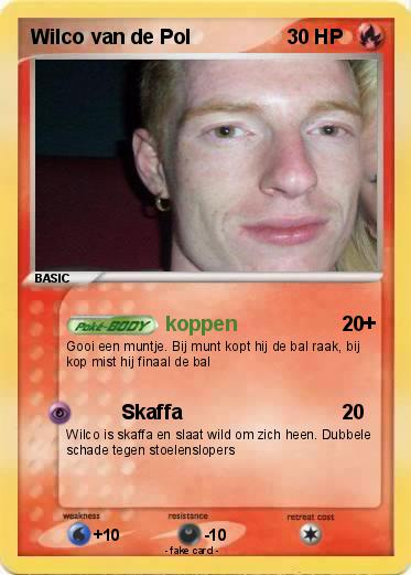 Pokemon Wilco van de Pol