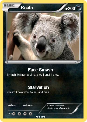 Pokemon Koala